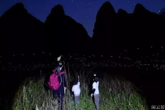 机智问答网页 - 探索这个光绪元宝的价格的机智答案